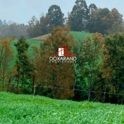 Hermosa Parcela Sector Pellinada