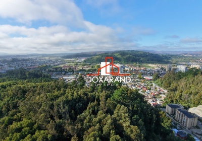 Propiedad La Virgen en el corazón de Concepción