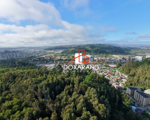Propiedad La Virgen en el corazón de Concepción