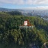 Propiedad La Virgen en el corazón de Concepción